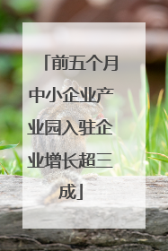 前五个月中小企业产业园入驻企业增长超三成