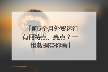 前5个月外贸运行有何特点、亮点？一组数据带你看
