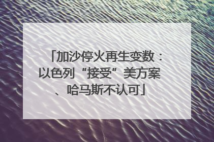加沙停火再生变数：以色列“接受”美方案、哈马斯不认可