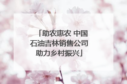 助农惠农 中国石油吉林销售公司助力乡村振兴