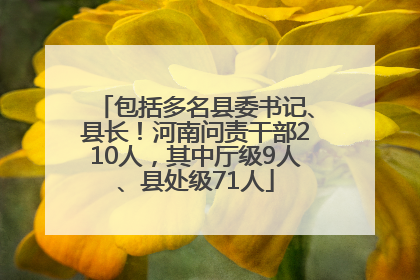 包括多名县委书记、县长！河南问责干部210人，其中厅级9人、县处级71人