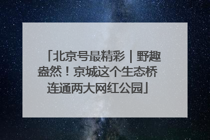 北京号最精彩｜野趣盎然！京城这个生态桥连通两大网红公园