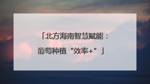 北方海南智慧赋能：葡萄种植“效率+”