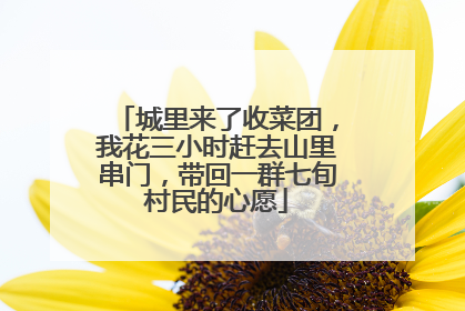 城里来了收菜团，我花三小时赶去山里串门，带回一群七旬村民的心愿