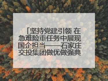 坚持党建引领 在急难险重任务中展现国企担当——石家庄交投集团做优做强典型报道之一
