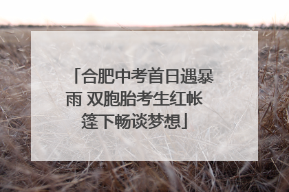 合肥中考首日遇暴雨 双胞胎考生红帐篷下畅谈梦想