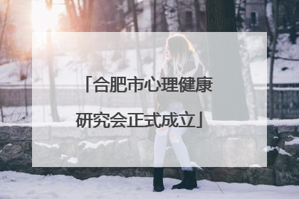 合肥市心理健康研究会正式成立