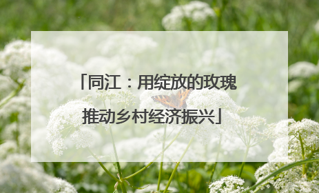 同江：用绽放的玫瑰 推动乡村经济振兴