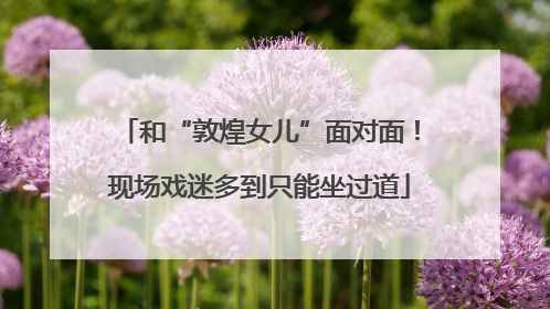 和“敦煌女儿”面对面！现场戏迷多到只能坐过道