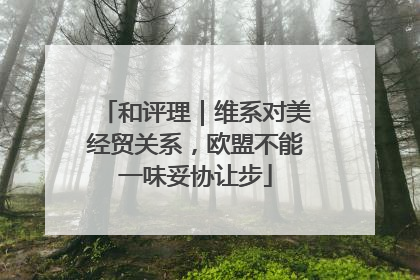 和评理｜维系对美经贸关系，欧盟不能一味妥协让步