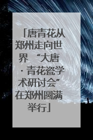 唐青花从郑州走向世界 “大唐・青花瓷学术研讨会”在郑州圆满举行