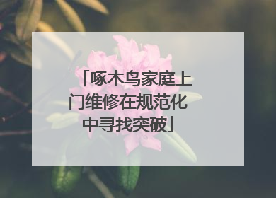 啄木鸟家庭上门维修在规范化中寻找突破