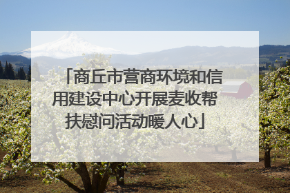 商丘市营商环境和信用建设中心开展麦收帮扶慰问活动暖人心