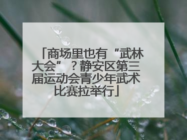 商场里也有“武林大会”？静安区第三届运动会青少年武术比赛拉举行