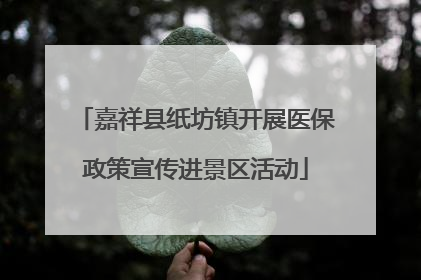 嘉祥县纸坊镇开展医保政策宣传进景区活动