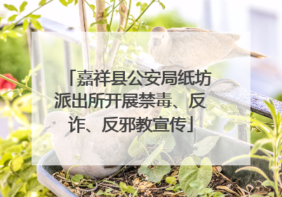 嘉祥县公安局纸坊派出所开展禁毒、反诈、反邪教宣传