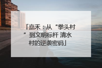 嘉禾：从“拳头村”到文明标杆 清水村的逆袭密码