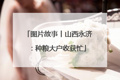 图片故事丨山西永济：种粮大户收获忙