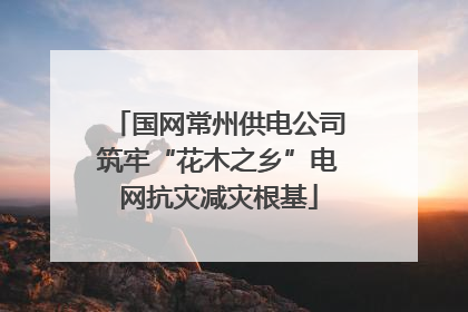 国网常州供电公司筑牢“花木之乡”电网抗灾减灾根基
