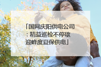国网庆阳供电公司：精益巡检不停歇 迎峰度夏保供电