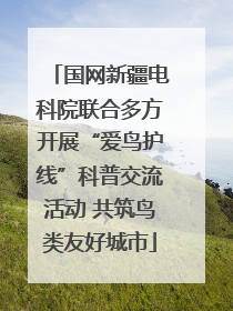 国网新疆电科院联合多方开展“爱鸟护线”科普交流活动 共筑鸟类友好城市