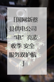 国网新蔡县供电公司“电”亮麦收季 安全服务双护航