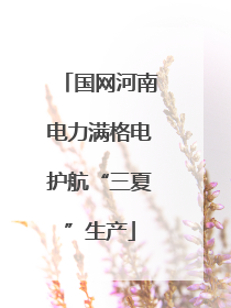 国网河南电力满格电护航“三夏”生产