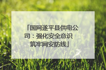 国网遂平县供电公司：强化安全意识 筑牢网安防线