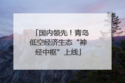 国内领先！青岛低空经济生态“神经中枢”上线