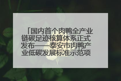 国内首个肉鸭全产业链碳足迹核算体系正式发布——泰安市肉鸭产业低碳发展标准示范项目顺利通过验收