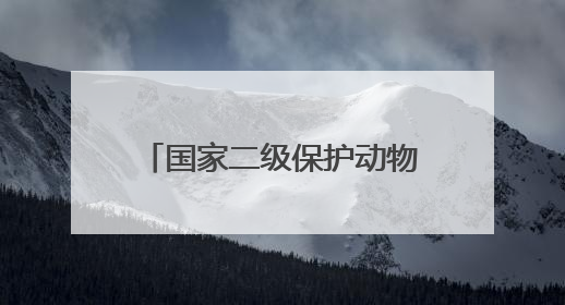 国家二级保护动物灰林鸮光临竹山上庸“鲜花小镇”