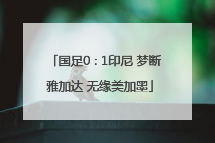 国足0∶1印尼 梦断雅加达 无缘美加墨