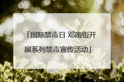 国际禁毒日 邓南街开展系列禁毒宣传活动