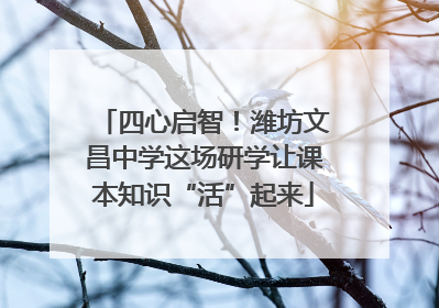 四心启智！潍坊文昌中学这场研学让课本知识“活”起来
