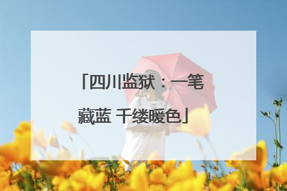 四川监狱：一笔藏蓝 千缕暖色