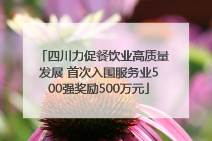 四川力促餐饮业高质量发展 首次入围服务业500强奖励500万元