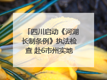 四川启动《河湖长制条例》执法检查 赴6市州实地暗访抽查｜四川人大之声