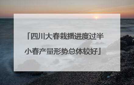 四川大春栽播进度过半 小春产量形势总体较好