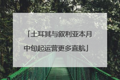 土耳其与叙利亚本月中旬起运营更多直航