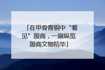 在甲骨青铜中“看见”殷商，一展纵览殷商文物精华