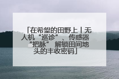 在希望的田野上丨无人机“巡诊”、传感器“把脉” 解锁田间地头的丰收密码