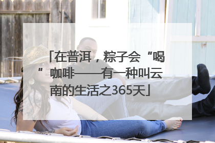 在普洱，粽子会“喝”咖啡——有一种叫云南的生活之365天