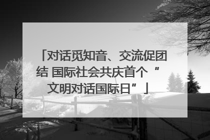 对话觅知音、交流促团结 国际社会共庆首个“文明对话国际日”