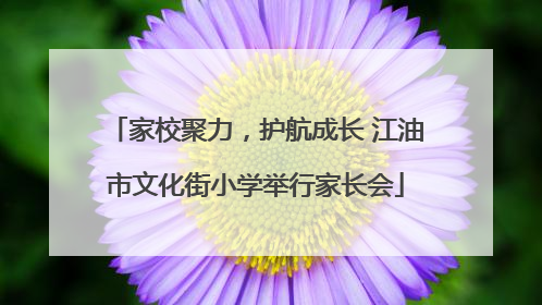 家校聚力，护航成长 江油市文化街小学举行家长会