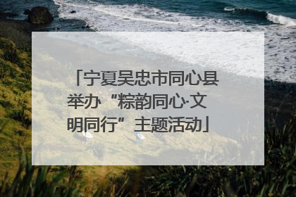 宁夏吴忠市同心县举办“粽韵同心·文明同行”主题活动
