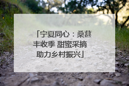宁夏同心：桑葚丰收季 甜蜜采摘助力乡村振兴