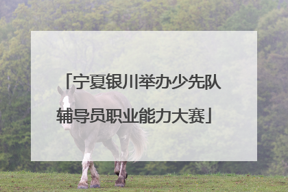 宁夏银川举办少先队辅导员职业能力大赛
