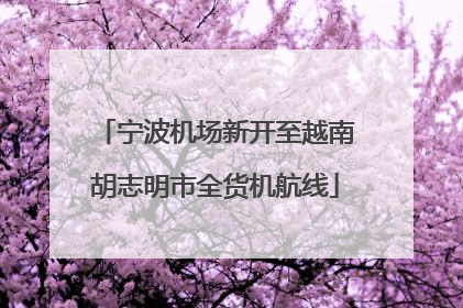 宁波机场新开至越南胡志明市全货机航线
