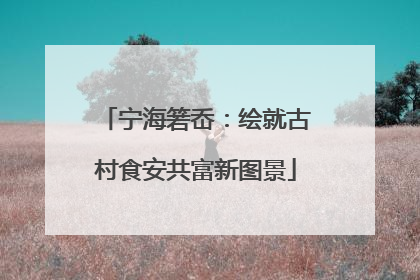 宁海箬岙：绘就古村食安共富新图景