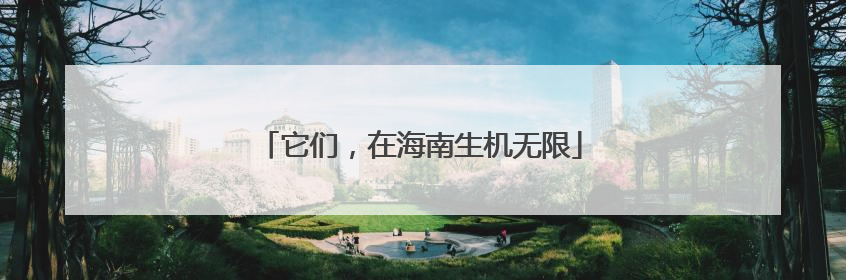 它们，在海南生机无限